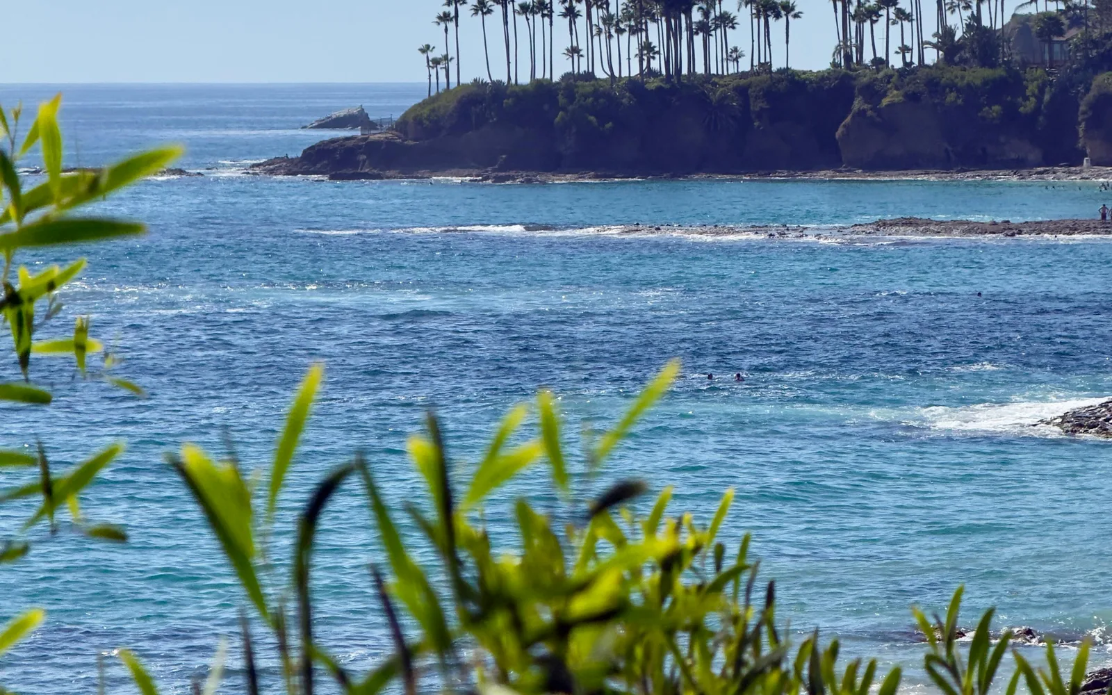 Scenic view of Laguna Beach with palm trees, Orange County California